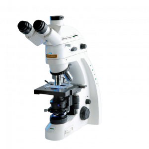 EUROStar III Plus - Immunology