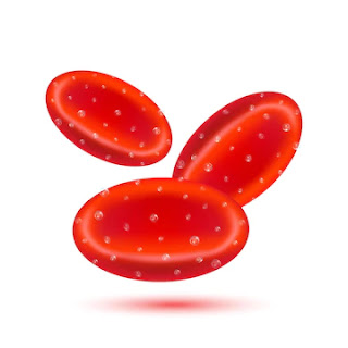 red-blood-cells-blood-oxygen-o2-saturation-medical-scientific-concepts-icon-realistic red-blood-cells-blood-oxygen-o2-saturation-medical-scientific-concepts-icon-realistic
